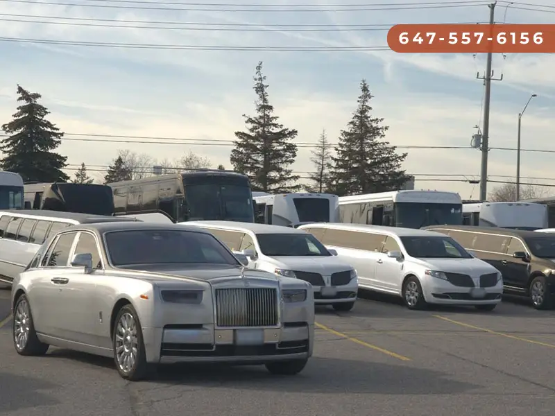 Brampton Limo & Party Buses